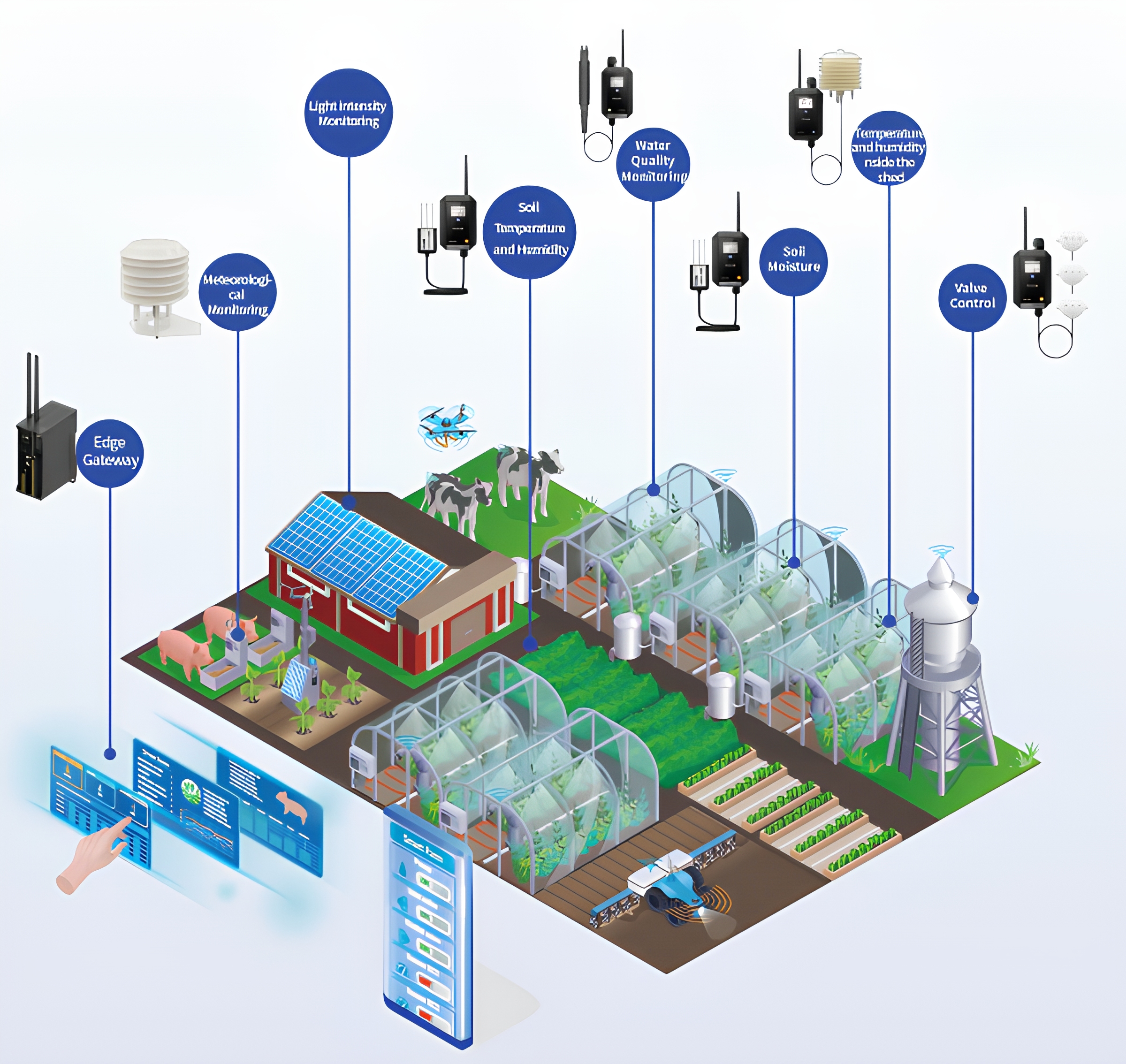 IoT Sensor Network